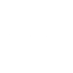 ZODU-aba-services-03-300x300
