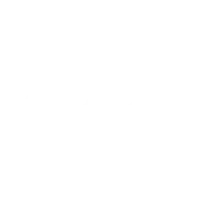ZODU-counseling-services-03-300x300